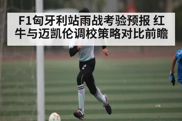 F1匈牙利站雨战考验预报 红牛与迈凯伦调校策略对比前瞻