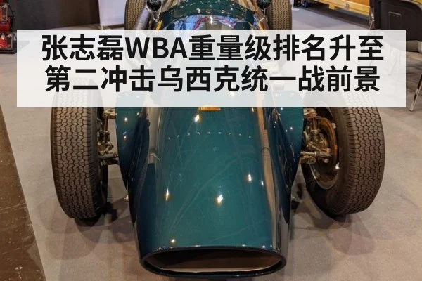 张志磊WBA重量级排名升至第二冲击乌西克统一战前景