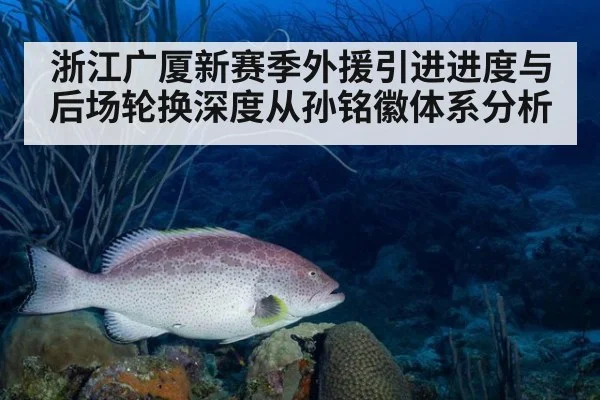 浙江广厦新赛季外援引进进度与后场轮换深度从孙铭徽体系分析